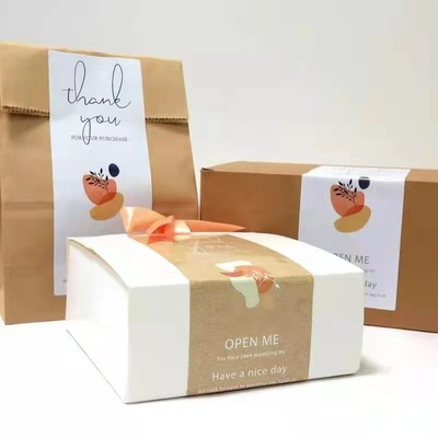 Farmaceutische Kosmetische van het de Douanehuis van de Etiketdruk het Productstickers voor Shampooflessen