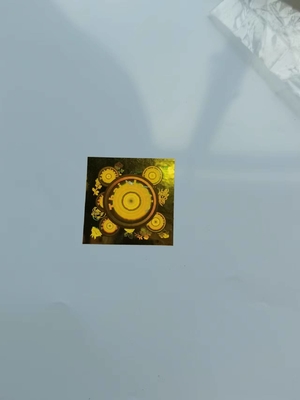 Serienummer van de de Laserveiligheid van de Holo beschermt het Anti Vervalste Sticker de Cirkeldouane Van de consument