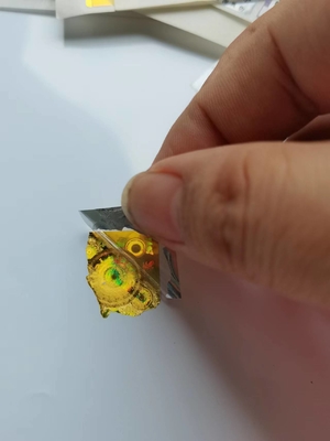 Serienummer van de de Laserveiligheid van de Holo beschermt het Anti Vervalste Sticker de Cirkeldouane Van de consument