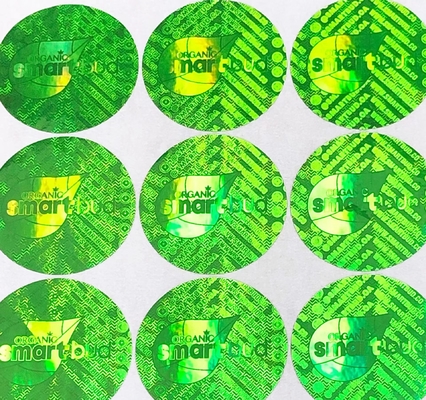 Sticker van het de Pashologram van de douane GAAT de 2D/3D Druk, Nietige Hologramsticker over